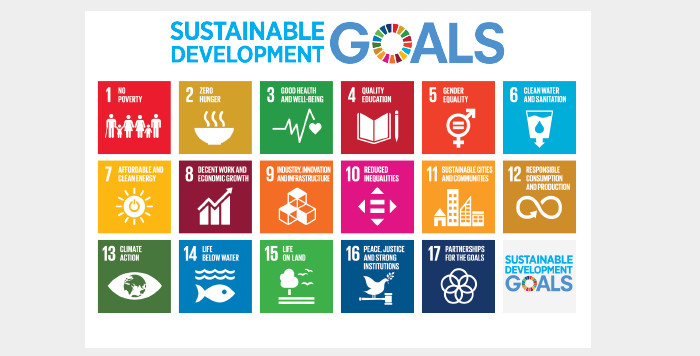 Sustainable development goals poster